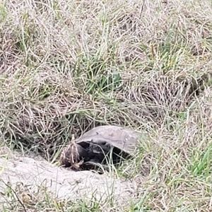 Meet your Posher, Evan